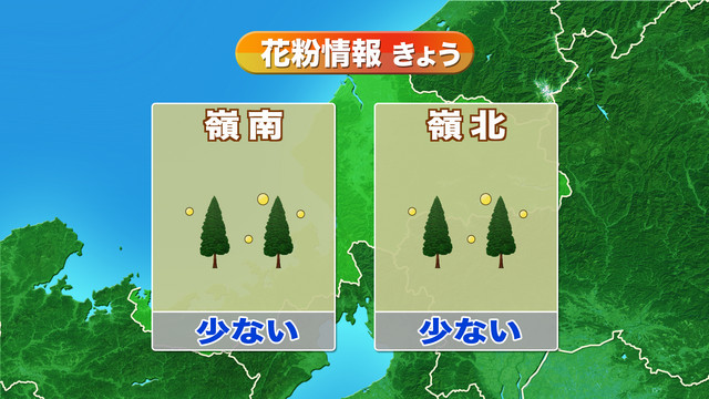 花粉情報